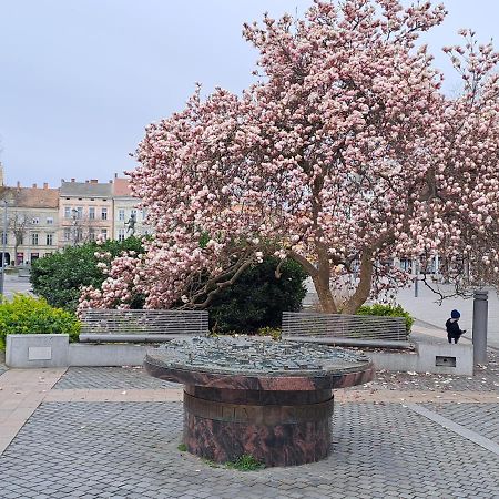 Széll 3 Apartman Apartman Szombathely Kültér fotó