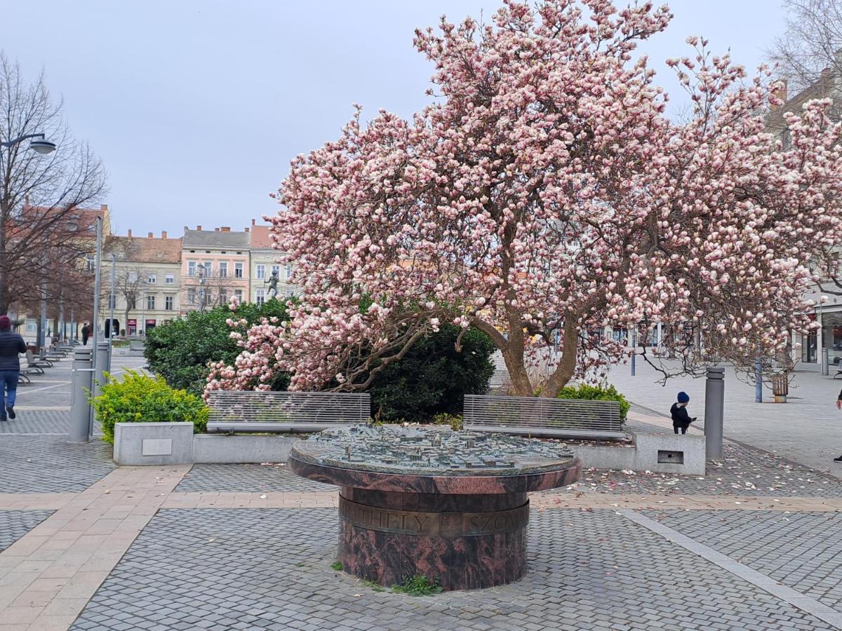 Széll 3 Apartman Apartman Szombathely Kültér fotó